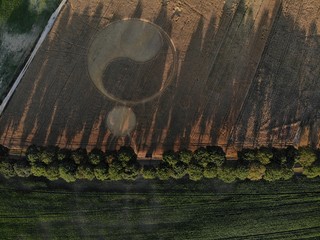 Zbożowe kręgi © Jacek