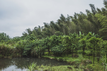 Obraz premium Mingyue Mountain, Jiangxi, China