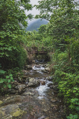 Obraz premium River in Mingyue Mountain, Jiangxi, China