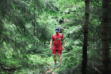 man hiker walking by forest trail. summer time