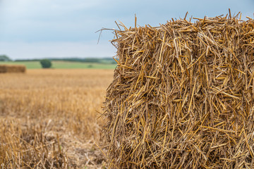 Fototapeta na wymiar square straw bales lie on a field after the grain harvest