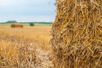 Fototapeta na wymiar square straw bales lie on a field after the grain harvest