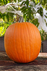 The orange pumpkin sits on top of the table covered in decore with spider webbing on the background trees. Halloween and Thanksgiving are two holidays that have similar color pallets.
