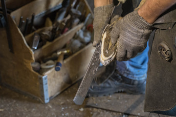 The man in working clothes of the blacksmith reforges a horse. Processing of back hoofs rasp. A...