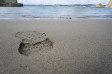 shore footprint