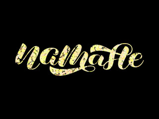 Namaste brush lettering. Hello in hindi. Vector illustration for poster or card