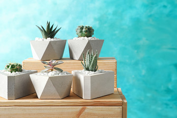 Beautiful succulent plants in stylish flowerpots on wooden crates against blue background, space for text. Home decor