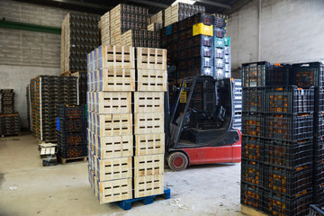 Stacks of fruit boxes with fresh ripe mandarin oranges in storage warehouse © JackF