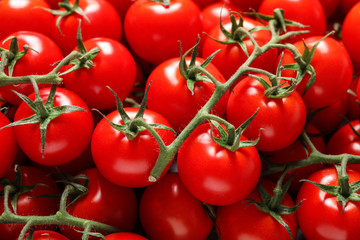 Fresh organic cherry tomatoes as background, closeup