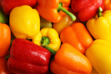 Wet ripe colorful bell peppers as background, closeup