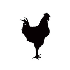 Black silhouette of rooster.