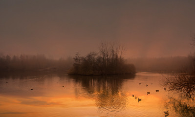 Golden sunset over the Middle Pool in Trench Telford 