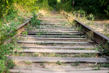 Fototapeta na wymiar Old, rusty, abandoned railway rails, stretching into the distance. Transport background. Grass grows around the railroad tracks. Abandoned railway