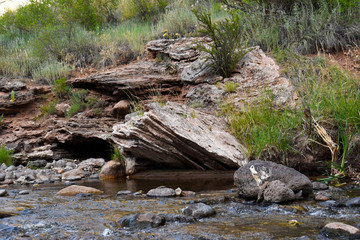 Rocks, water and foliage high-quality photograph for magazines, blogs, posters, flyers, wall art, cards, business cards, branding, articles, and newspapers.