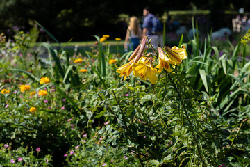 London City, In the summer