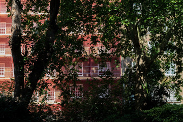 London City, In the summer