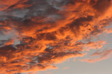 dark clouds at sunset on a summer day