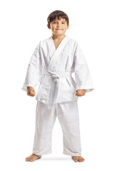 Boy posing in karate kimono © Ljupco Smokovski