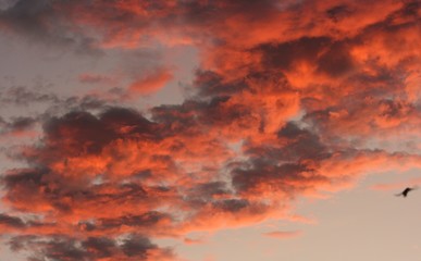 SUNRISE WITH CLOUDS AT SUMMER