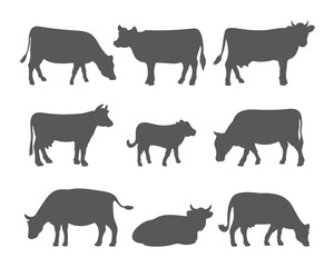 Vector cow and calf silhouettes in different poses. Set of cows isolated on white background. - obrazy, fototapety, plakaty