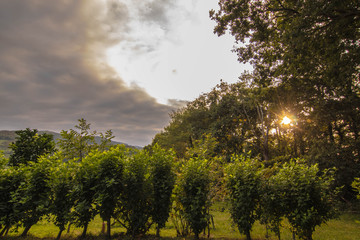 Cielo con estrellas y barbacoa