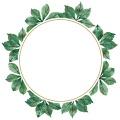 Fototapeta premium Autumn season watercolor circular frame: colorful green leaves, maple tree branches isolated on white background.