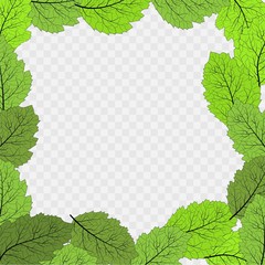 Frame with green leaves on a transparent background for any designs.