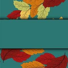 Modern design template with red autumn leaves. Autumn leaves for decoration design.
