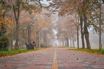 Empty foggy park in autumn. Empty benches and yellow leaves.