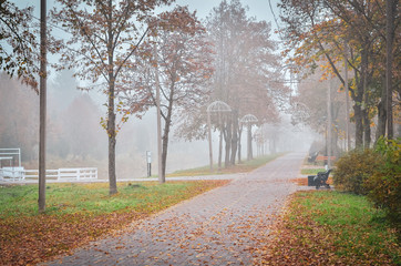 Fototapeta na wymiar Empty foggy park in autumn. Empty benches and yellow leaves.