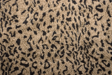 Close-up photo of animal skin with abstract texture