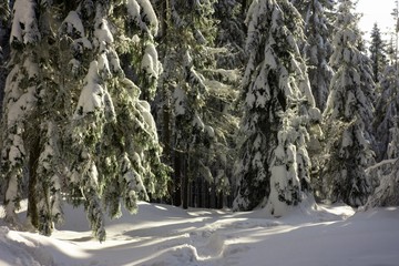 zima w górach