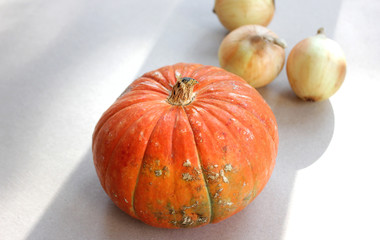 Orange pumpkin and onions on cardboard grey