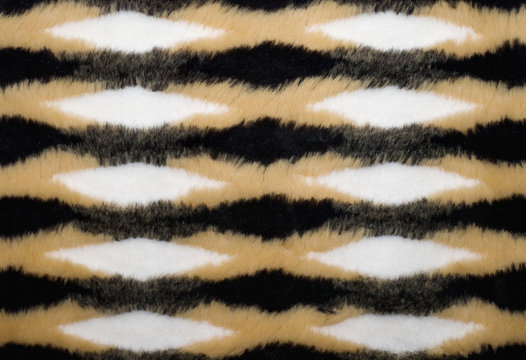 Close-up photo of animal skin with abstract texture