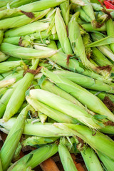 Obraz premium Farmers Market Corn