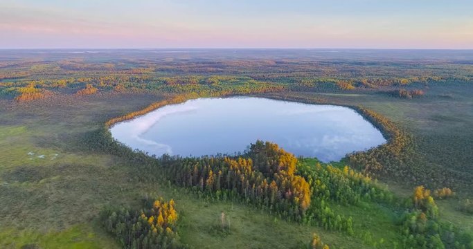 Aerial view of the swamp in natural reserve Krasny Bor, Belarus