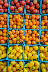 Baskets Grape Tomatoes