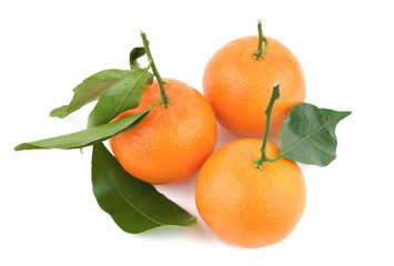 Orange fresh tangerines with a stem and leaves