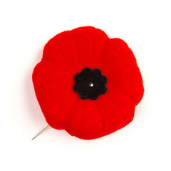 Remembrance Day Poppy