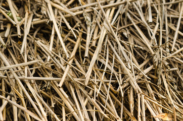 Straw background texture with copy space