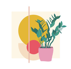plant illustration. potted house plant vector. botanical art print. geometric background.