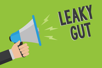Writing note showing Leaky Gut. Business photo showcasing A condition in which the lining of small intestine is damaged Man holding megaphone loudspeaker green background message speaking