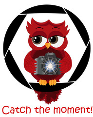 A beautiful cartoon red owl with a camera sits on the camera's diaphragm. Concept photography, vocations, photo business