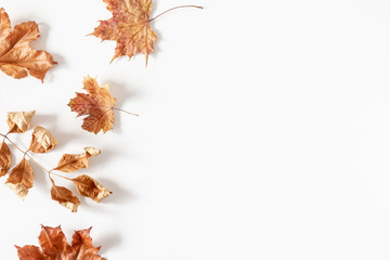 Autumn creative composition. Dried leaves on white background. Fall concept. Autumn background....