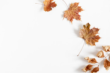 Autumn creative composition. Dried leaves on white background. Fall concept. Autumn background. Flat lay, top view, copy space
