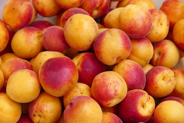 organic red colored apricots, ripe apricots, natural apricot fruit,