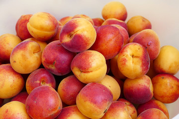 organic red colored apricots, ripe apricots, natural apricot fruit,