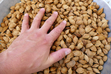 medicine apricot kernels, apricot kernels for making pills and drugs,