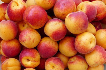 organic red colored apricots, ripe apricots, natural apricot fruit,