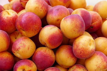 organic red colored apricots, ripe apricots, natural apricot fruit,